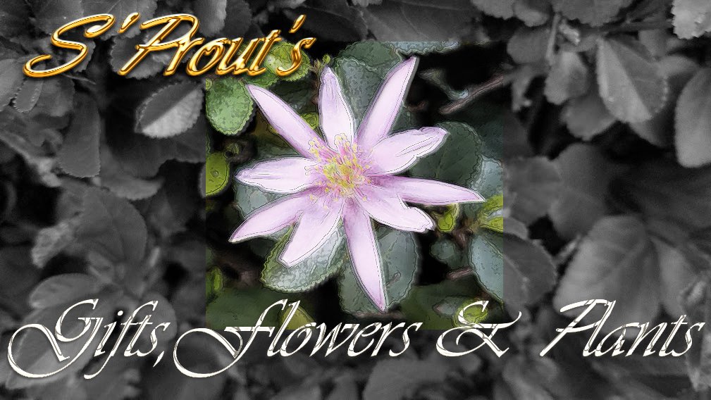 S'Prout's Flowers...